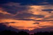 the sky above a wood
