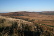 monts d'arree