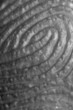 identity up close