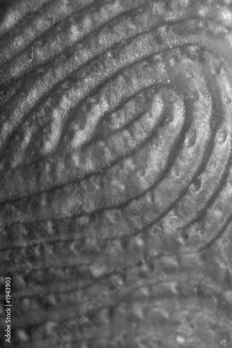 Photo: identity up close identity up close