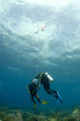 divers on safetystop on bouy