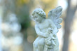 baby angel.
