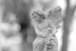 baby angel.