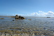 maree basse et corail tropical