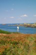 paysage de bretagne