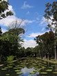 jardin pamplemousse à l'ile maurice