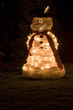 christmas lights and decoration