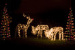 christmas lights and decoration