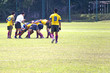 rugby