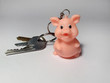 keys with piglike trinket