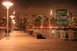 manhattan skyline at night