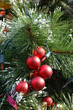 christmas ornaments on tree