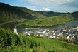 moselschleife bei bremm