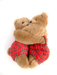 the toy bears