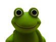 frosch_04
