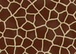 giraffe fell fur