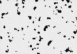 Illustration: dalmatiner fell dalmatian fur dalmatiner fell dalmatian fur