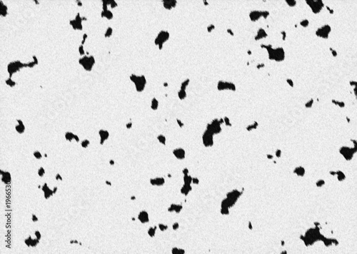 Illustration: dalmatiner fell dalmatian fur dalmatiner fell dalmatian fur