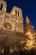 christmas at notre-dame christmas at notre-dame