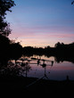 fishing rods