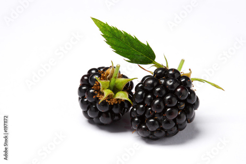 blackberry