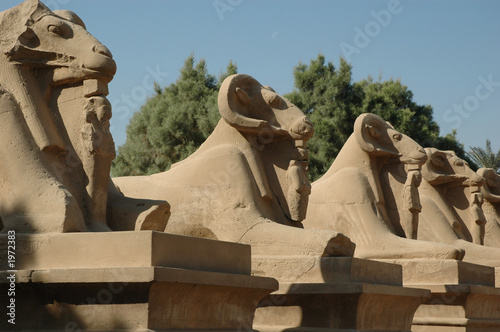 sphinxes