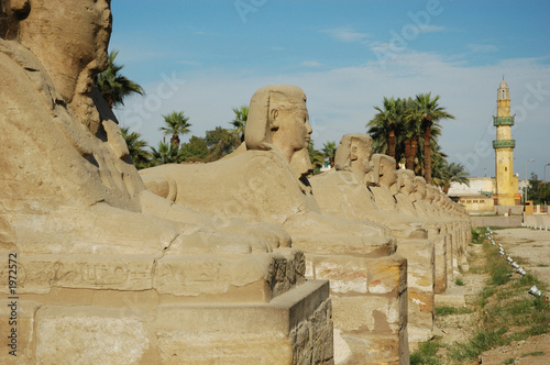avenue of sphinxes