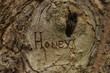 honey honey