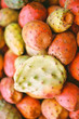 figues de barbarie