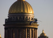 the seagull on a background of a cathedral the seagull on a background of a cathedral