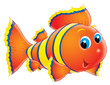 coral fish