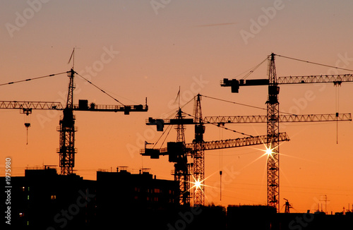 kräne im morgengrauen kräne im morgengrauen