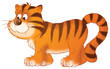 tiger