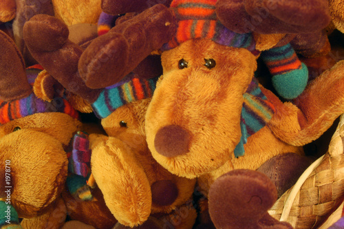 Photo: reindeer reindeer