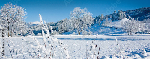 wintertraum