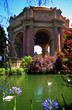 palace of fine arts, san francisco palace of fine arts, san francisco