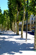 boulevard