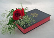 holy bible