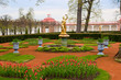 view of monplaisir palace garden. peterhof view of monplaisir palace garden. peterhof