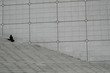 la solitude de l'esaclier