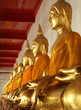 row of seated buddhas