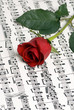 rose music 3