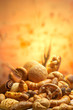 Foto: group of different bread products photographed wit group of different bread products photographed wit
