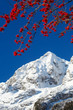 early winter in slovenian alps