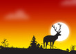 deer