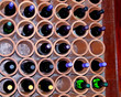 wine rack with bottles