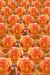 rosy background