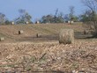 hay bales