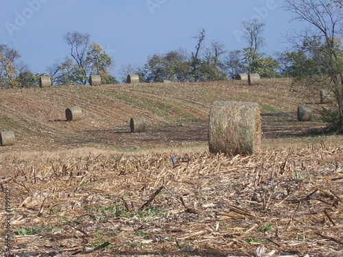 Photo: hay bales hay bales