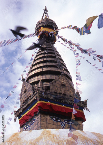 monkey temple monkey temple